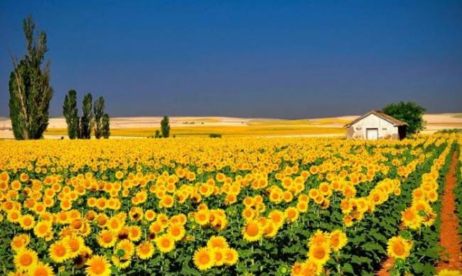 Прогноз погоды в Мелитополе на 24 августа фото