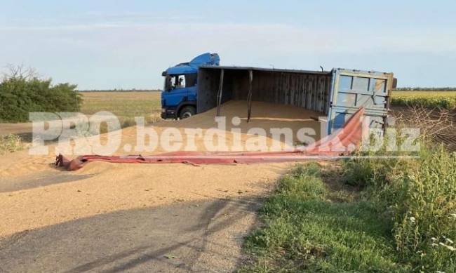 В Запорожской области пьяный водитель рассыпал по трассе 30 тонн зерна  фото