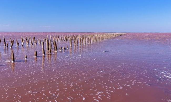 В Крыму высохло живописное розовое озеро, которое любили все туристы  фото
