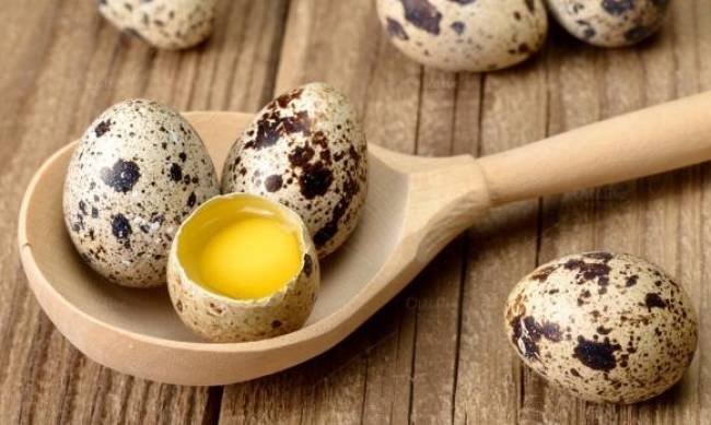 Зачем нужно есть перепелиные яйца фото