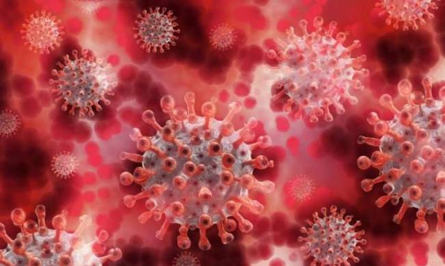 Ученые показали, как вирус SARS-CoV-2 проникает в клетку фото