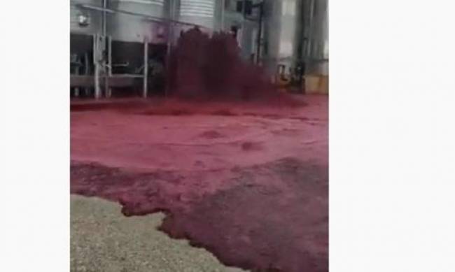 В Испании территорию завода затопило вином фото