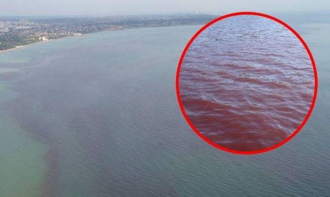 В Одессе море стало красным: биологи предупредили об опасных токсинах фото