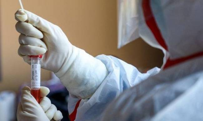 Победить коронавирус удалось еще 31 мелитопольцу фото