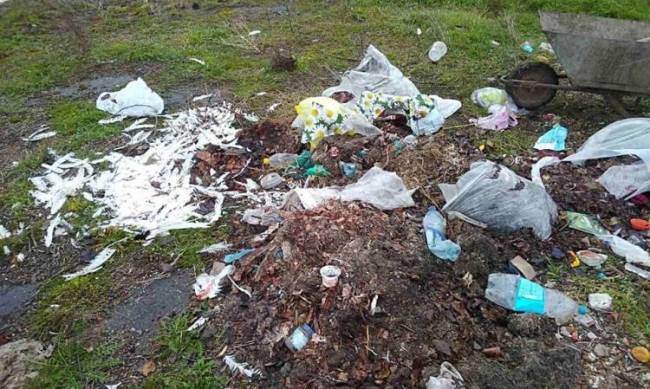 Пастбище в Мелитопольском районе захламили мусором  фото