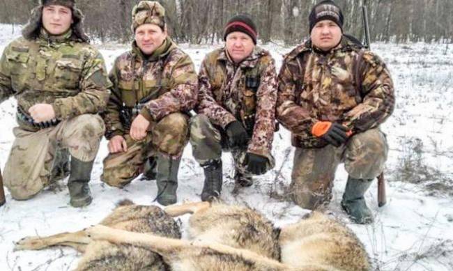 На Пологовщине охотники уничтожили 5 волков  фото