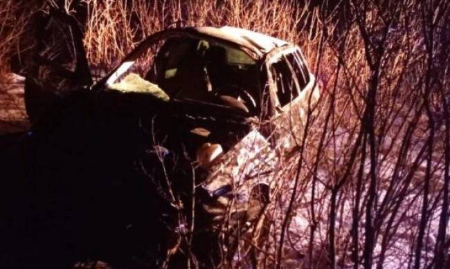 Авто несколько раз перевернулось: в ДТП погиб житель Запорожской области  фото