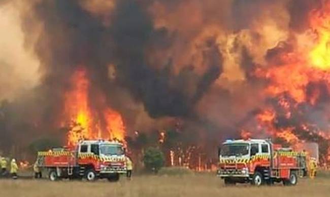 Австралию вновь охватили лесные пожары: в регионе объявлен режим ЧС, людей эвакуировали фото