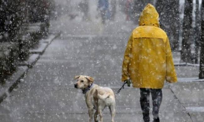Мороз и шторм: мелитопольцев предупреждают об осложнении погодных условий фото