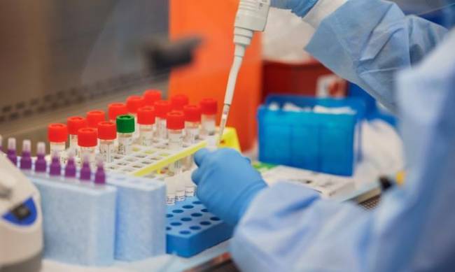 Сколько новых случаев COVID-19 подтвердил мелитопольский Горздрав фото