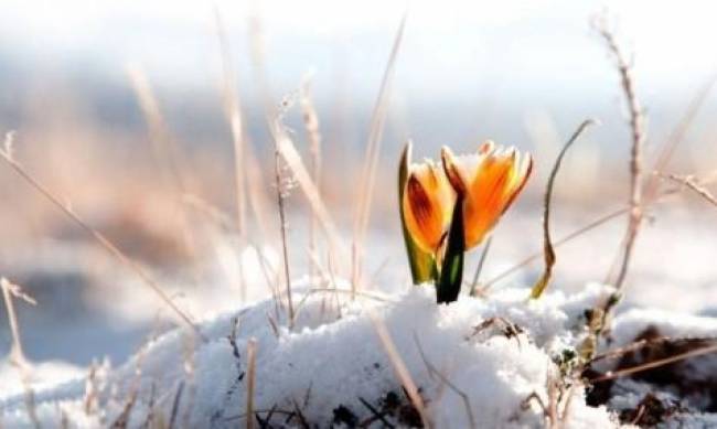 Украину будет засыпать снегом с новой силой: синоптики дали неожиданный прогноз на начало недели фото