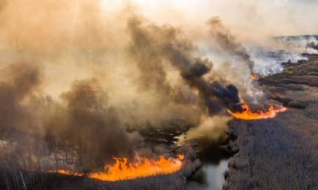 Наводнения, засухи, пожары: к каким экологическим проблемам готовиться в этом году украинцам фото