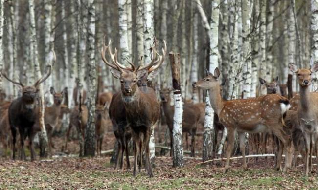 � 1 ������ � ����� ������� ��������� ����� ������. ��� ������ ����������� ����� �������� ����