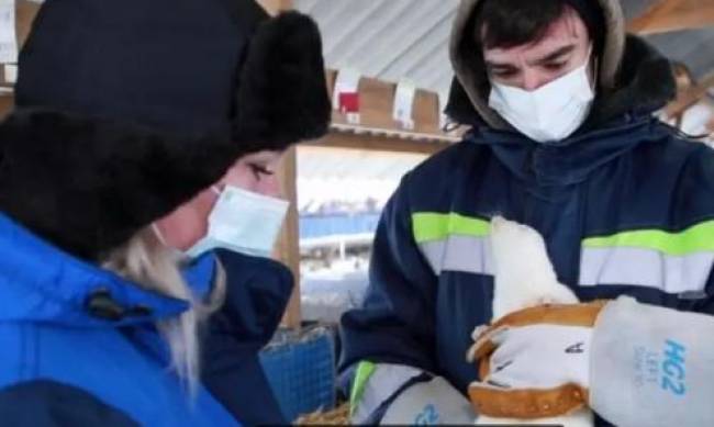 В России зарегистрировали первую в мире вакцину от коронавируса для кошек, собак и прочего зверья фото