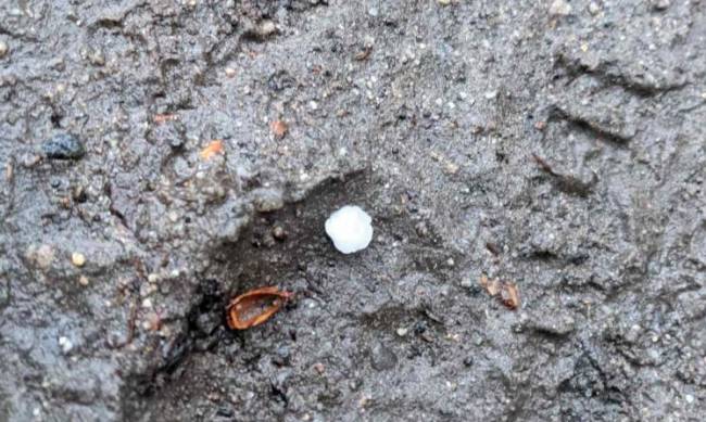 На Мелитопольщине прошел дождь с градом (фотофакт) фото