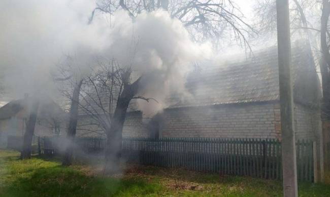 В Запорожской области горел частный дом  фото