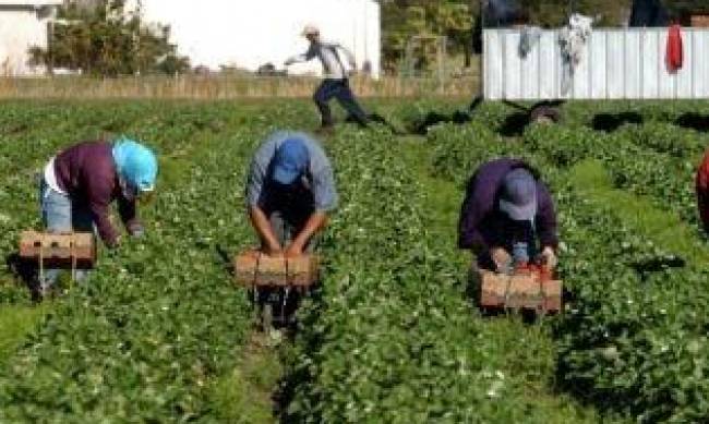 В Польше жалуются на нехватку украинских заробитчан: кого зовут фото