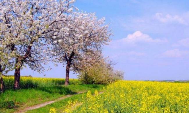 Синоптики: теплеть в Украине начнет со следующей недели фото