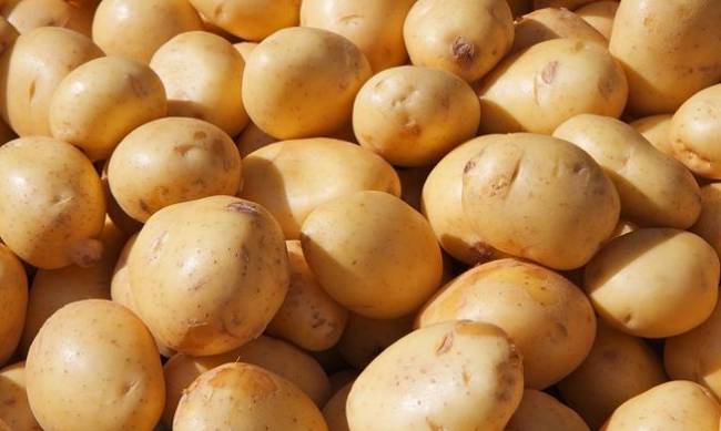 Украинская картошка продается на 50% дороже, чем израильская: опубликованы цифры фото