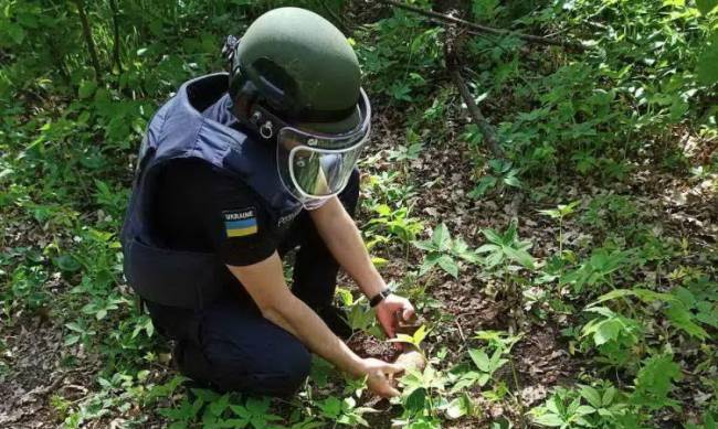 Мина и граната: в Мелитополе нашли боеприпасы  фото