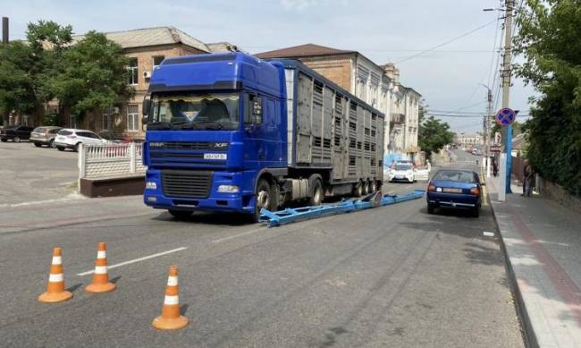 В Мелитополе грузовик с телятами стал причиной аварии  фото