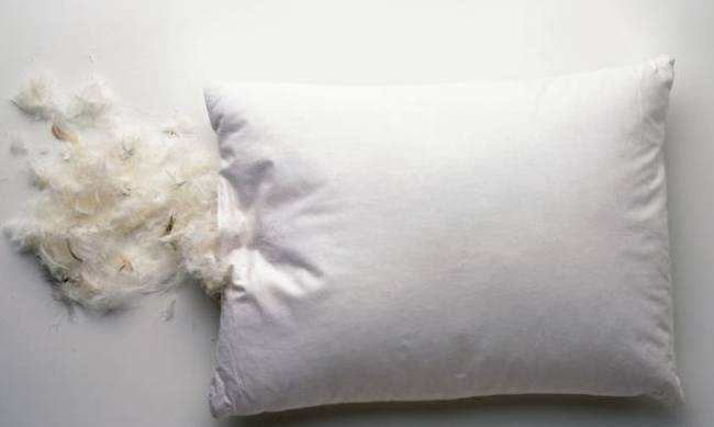 Как правильно постирать пуховую подушку в домашних условиях? фото