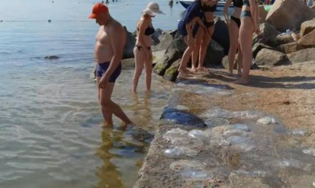 В Бердянске просят закидывать медуз обратно в море фото