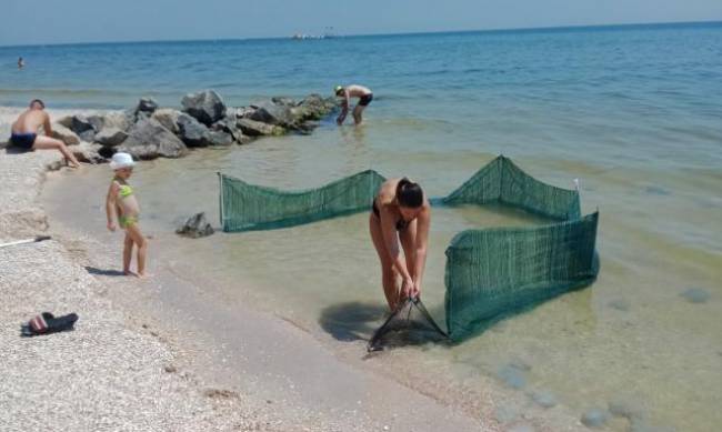 В Кирилловке отдыхающие сами делают ограждения от медуз  фото
