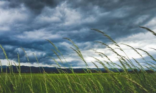 Погода в Мелитополе: 11 августа природа запросила тайм-аут фото