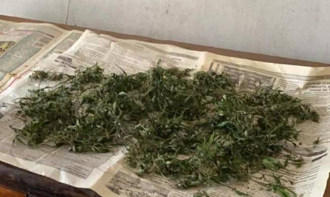 Наркотики житель Мелитопольщины хранил в коробках  фото