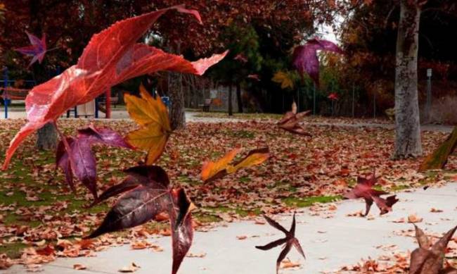Что такое осень - это ветер: погода в Мелитополе 28 сентября фото