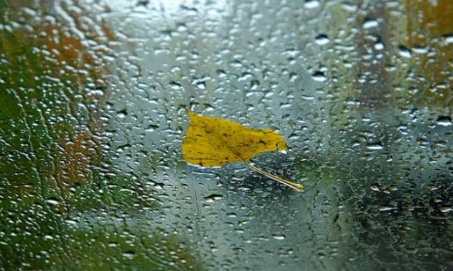 Прихватите зонтики: прогноз погоды в Мелитополе на 30 сентября фото
