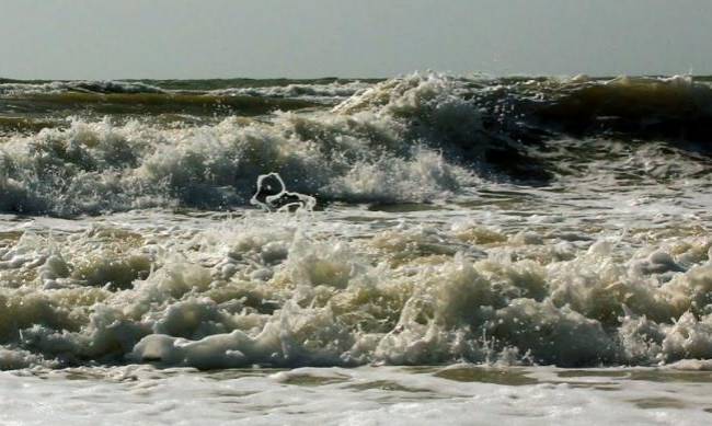 Опасная погода надвигается на регион - в Азовском море ожидается шторм фото