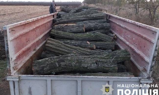 В Мелитопольском районе поймали черных лесорубов фото