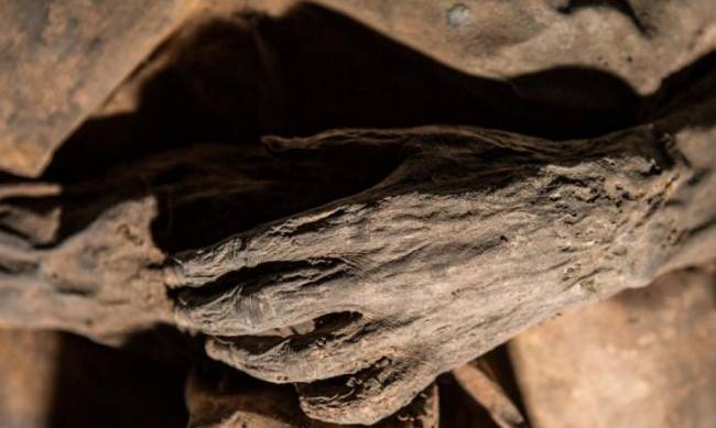 На Херсонщине вместо грибов обнаружили мумию фото