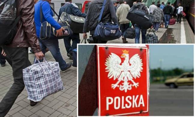 Украинцам теперь будет проще легализоваться в Польше: что изменилось фото