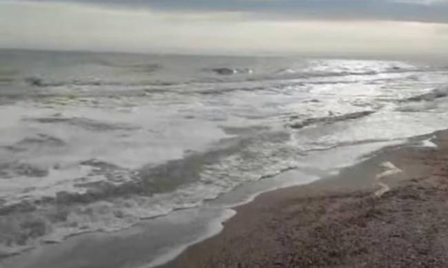 Из Кирилловки ушли медузы  фото