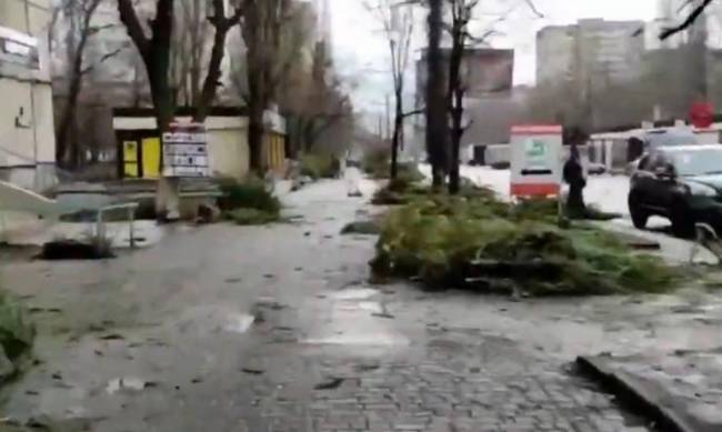Улицы украинских городов завалены елками - Новый год прошел  фото