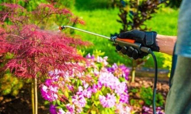 Инсектициды для полей фото