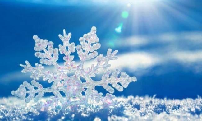 День чудесный, но морозный: погода в Мелитополе 22 января фото