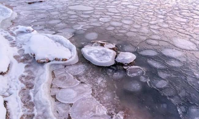 Похоже на замерзших медуз: в Бердянске запечатлели редкое природное явление  фото