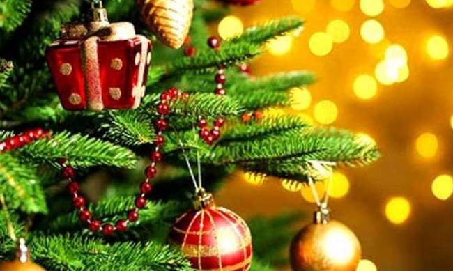 Как сделать, чтобы праздничная елка дольше не осыпалась? фото