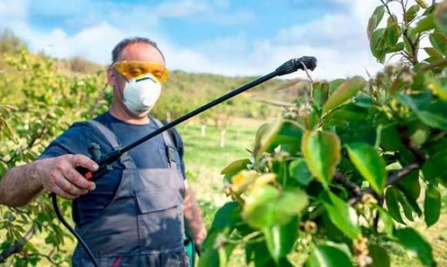 Инсектициды в аграрном интернет-магазине Агро Пионер фото