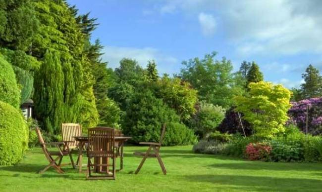 Ландшафтный дизайн: какая техника должна быть в арсенале фото