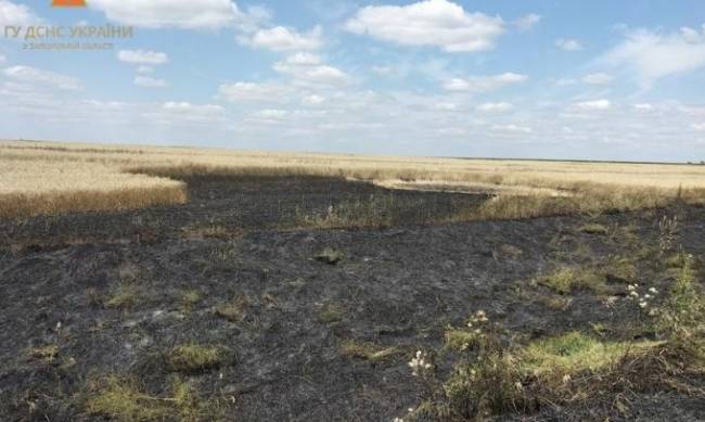 Терористи рф спалили величезне поле пшениці на Запоріжжі, - ФОТОЗВІТ фото