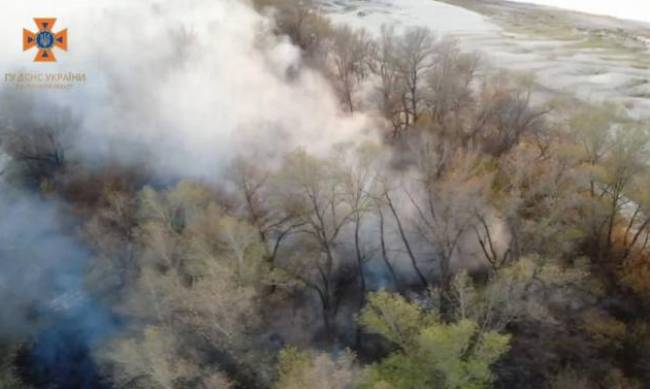 Запорізьким рятувальникам вдалося ліквідувати складну пожежу у плавневій зоні Дніпра фото