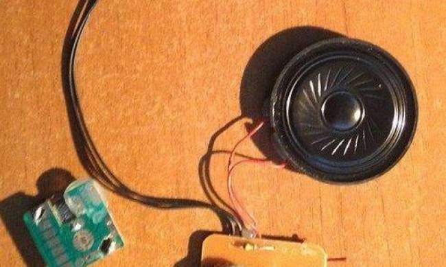 Шпионские страсти: в частном детсаду Челябинска воспитательница нашла у девочки в волосах жучок фото