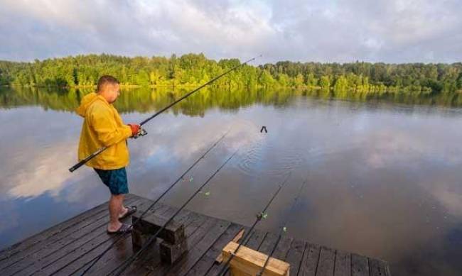 Спиннинговая ловля: советы для начинающих рыболовов фото
