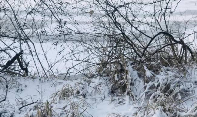 Вночі сніг, вдень дощ: у Запорізькій області очікують «температурні гойдалки» фото