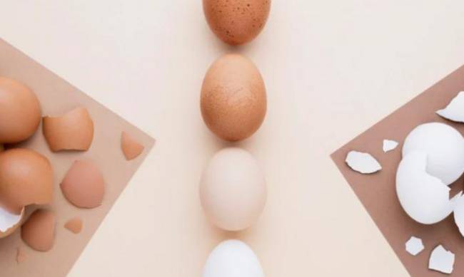 Коричневі проти білих. Які яйця краще обрати для споживання та чим вони відрізняються фото
